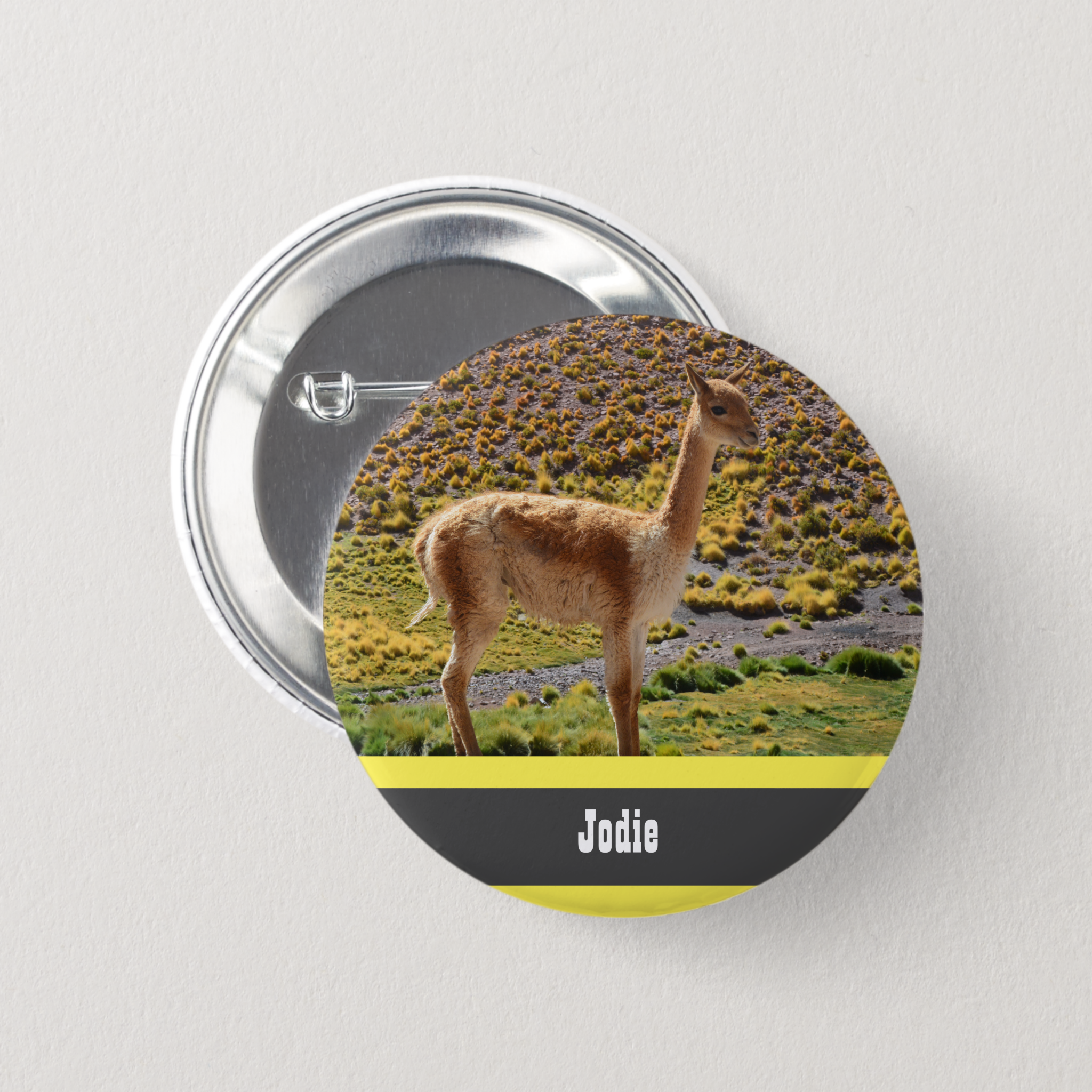 Personalised Llama Name Badge