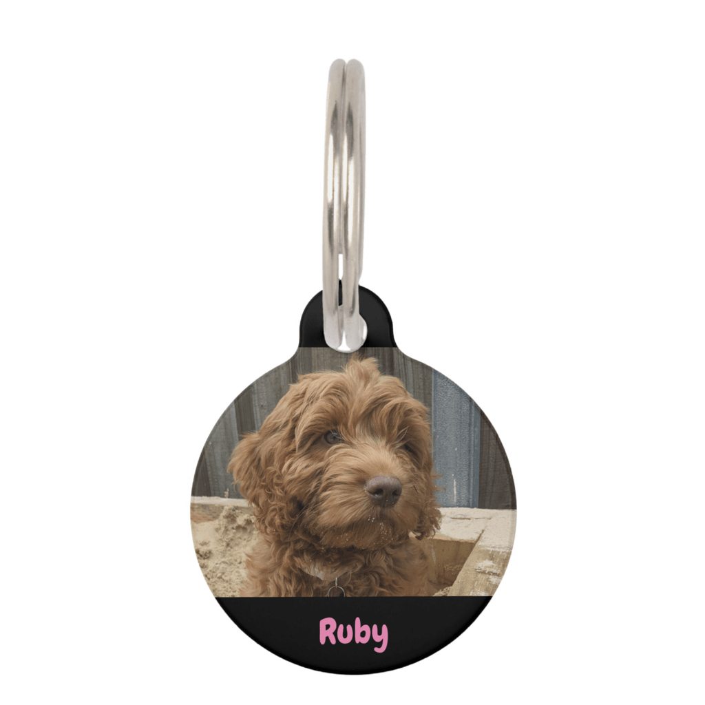 cute personalised photo dog tag with dog photo, name and your contact details on the back.