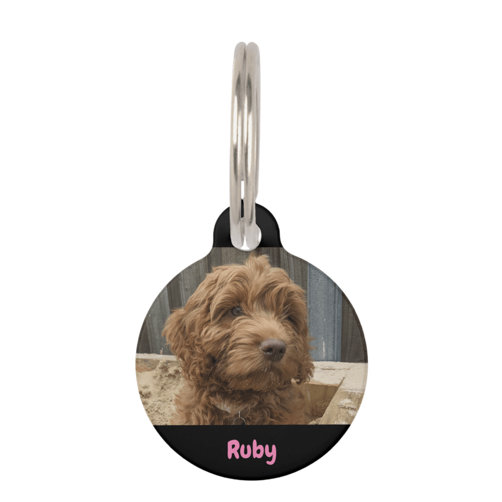 Personalised photo dog tag