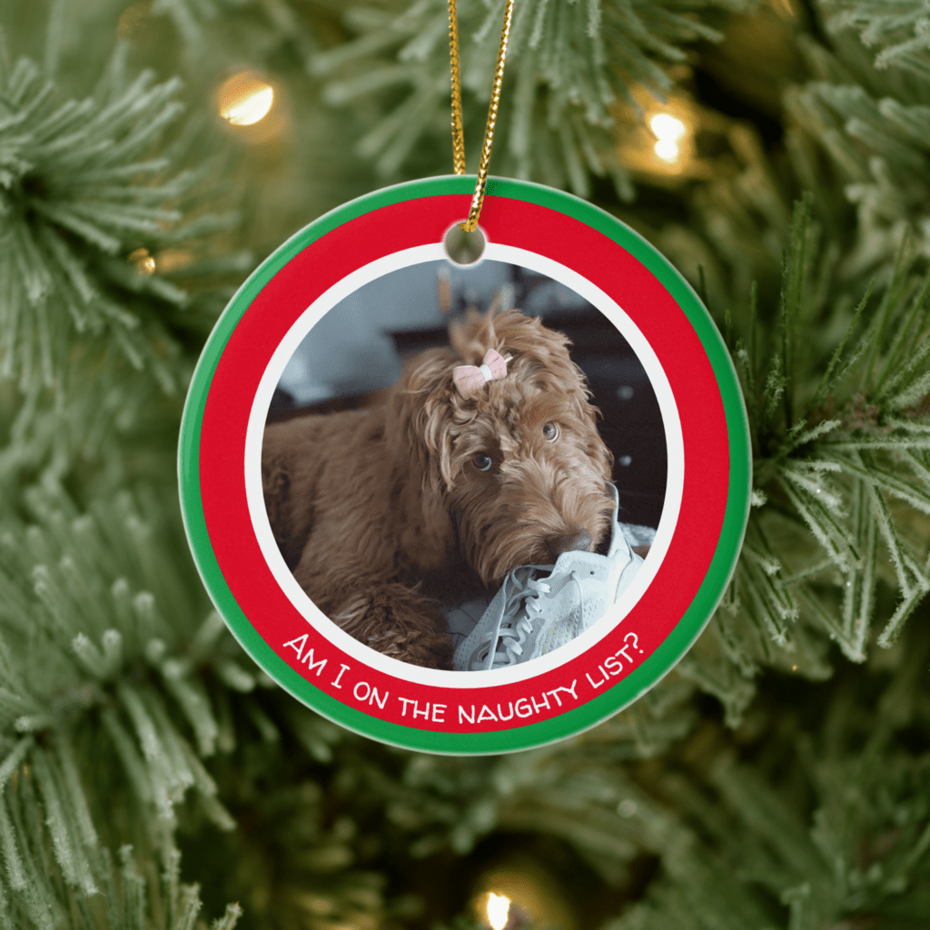 PetAm I on the naughty list? Funny personalized pet Christmas ornament